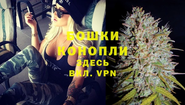 индика Семилуки